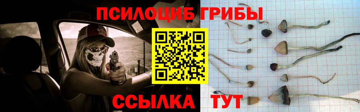 Галлюциногенные грибы MAGIC MUSHROOMS  Вход с VPN  Галлюциногенные грибы Cubensis  Усть-Илимск 